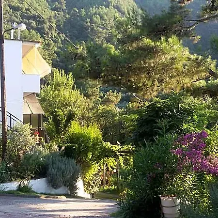 Dimitra 4* Potamia (Thasos)